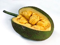 jackfruit