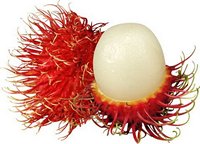 Rambutan