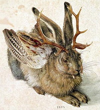 jackalope, wolpertinger, джакалоп, зайцелоп